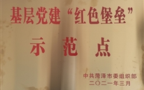 成武公司连续荣获市、县多项荣誉